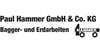 Kundenlogo von Paul Hammer GmbH & Co.KG Erdarbeiten