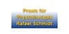 Kundenlogo von Schmidt Rafael Physiotherapie