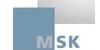 Kundenlogo von MSK METALLBAU Stefan Keil