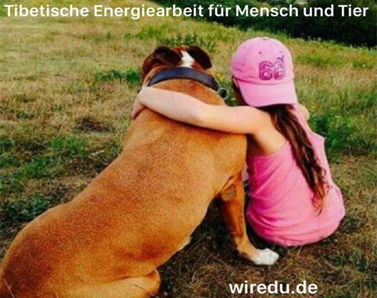 Kundenbild groß 1 Tibetische Energiearbeit für Mensch und Tier in Lüneburg