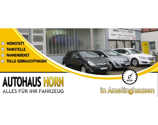 Kundenbild groß 1 Horn GmbH Autohaus