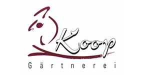 Kundenlogo von Koop Blumen & Floristik
