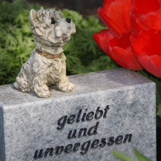 Kundenbild groß 2 Tierbestatter für Dortmund Tierfriedhof