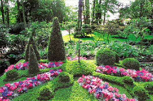Kundenbild groß 2 Ludwig Friedhofsgärtnerei oHG