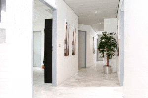 Kundenbild groß 2 CIA - Centrum für Implantologie & Aesthetische Gesichtschirurgie Prof. Dr. med. Dr. dent. Maick Griebenow M.Sc.