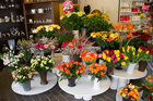Kundenbild groß 2 Blumen Barrey Gartenbau, Geschenkartikel