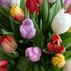 Kundenbild groß 4 Blumen Hönekop Herbern Inh. V. Wesselmann