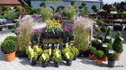 Kundenbild groß 2 Gartenbau Plois