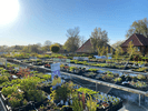 Kundenbild groß 3 Gartenbau Plois