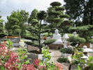 Kundenbild klein 4 Baumschulgarten Enneking Gartenbau