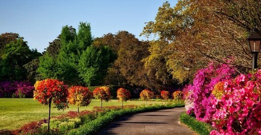 Kundenfoto 3 Hellebusch Blumen & Garten- und Landschaftsbau