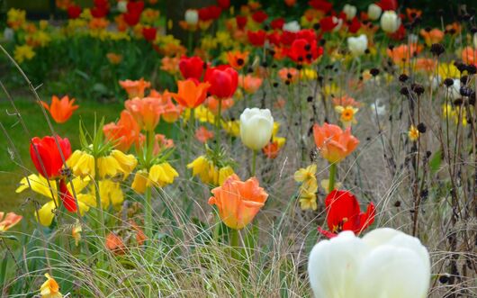 Kundenfoto 6 Planten und Plaastern Garten- und Landschaftsbau