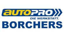 Kundenlogo von Kfz-Meisterbetrieb Borchers GmbH
