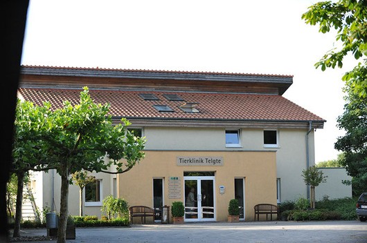 Kundenfoto 4 Tierklinik Telgte Fachklinik für Pferde