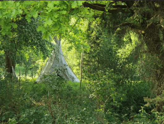 Kundenfoto 2 Campingplatz Sonnenwiese GmbH & Co. KG