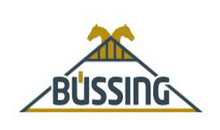 Kundenlogo von Büssing Bedachungs GmbH, Wolfgang
