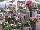 Kundenbild klein 6 Dammann Floristik Gartengestaltung