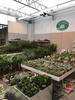 Kundenbild groß 1 Tebbe Gartencenter