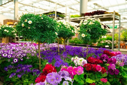 Kundenfoto 2 Tebbe Gartencenter