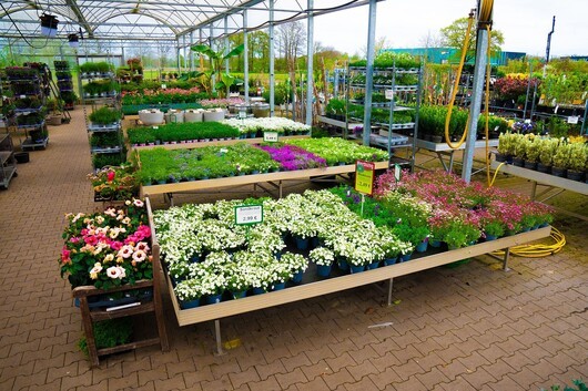 Kundenfoto 3 Tebbe Gartencenter