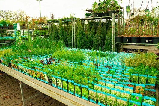 Kundenfoto 4 Tebbe Gartencenter