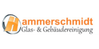 Kundenlogo Hammerschmidt Glas- & Gebäudereinigung