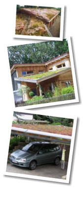 Kundenfoto 2 Niederholthaus Garten- und Landschaftsbau