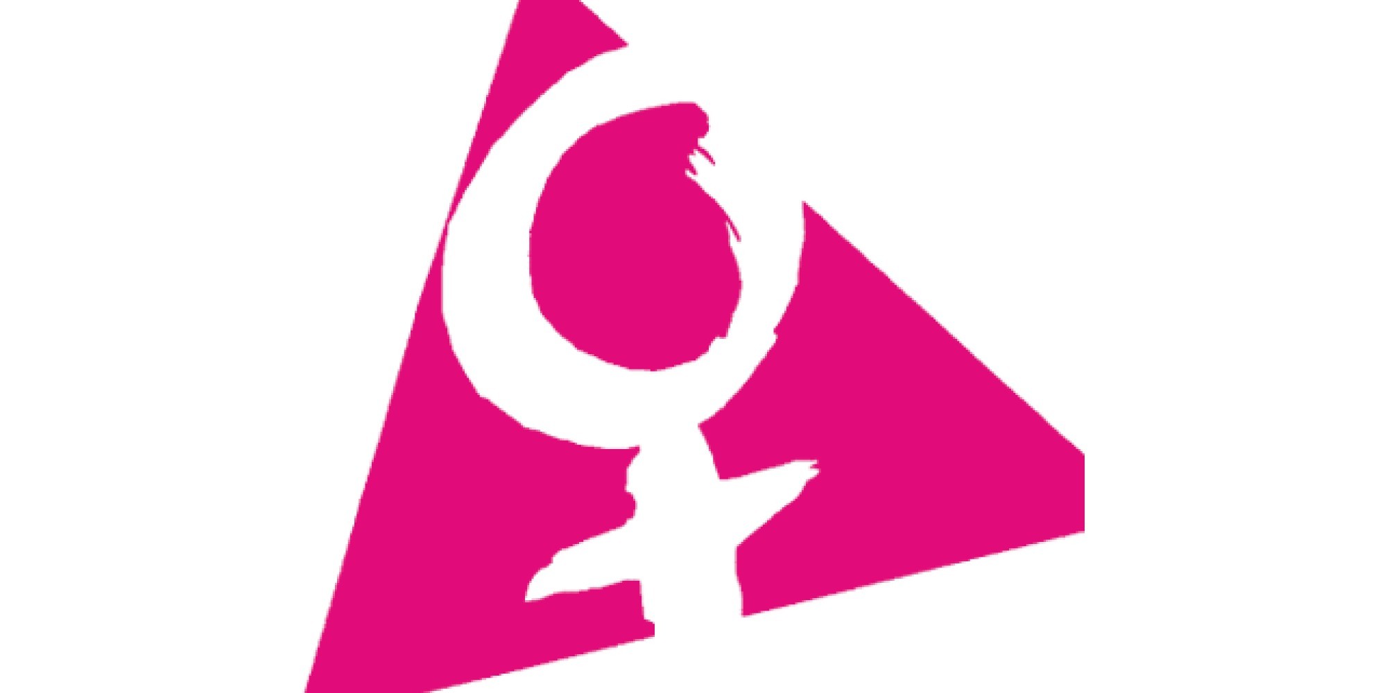 Kundenlogo von Frauen helfen Frauen e.V. Lübeck