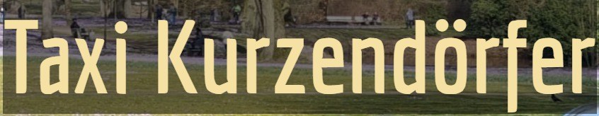Kundenlogo von Taxi- u. Flughafendienst Kurzendörfer