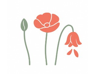 Kundenlogo von Gomola-Lembcke Eva Frauenärztin