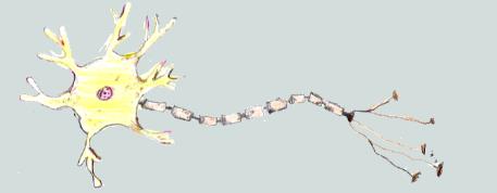 Kundenlogo von Neurozentrum Bad Schwartau Dr. Hiller & PD Dr. Brüning