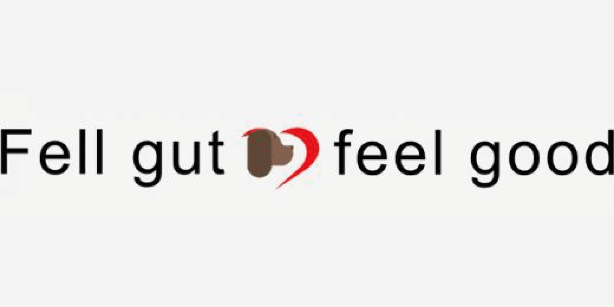 Kundenlogo von Hundesalon Fell gut - Feel good Tierfriseur Oda Köhncke