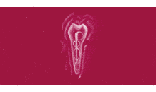 Kundenlogo Pietschmann Robert Dr. Zahnarzt