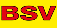 Kundenlogo BSV Baugerätevermietung Torsten Vogler