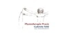 Kundenlogo von Physiotherapie Gabriele Söhl
