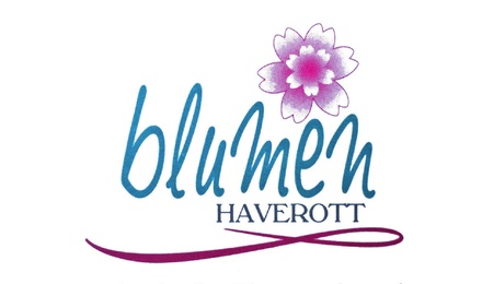 Kundenlogo von Blumen Haverott Inh. Sonja Reineck