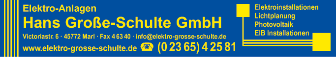 Anzeige Hans Große-Schulte GmbH Elektro-Anlagen