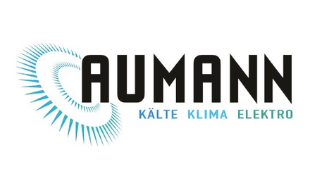 Kundenlogo von Aumann GmbH
