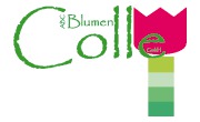 Kundenlogo Blumen Colle GmbH