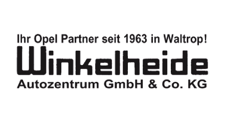 Kundenlogo von Winkelheide Autozentrum GmbH & Co. KG