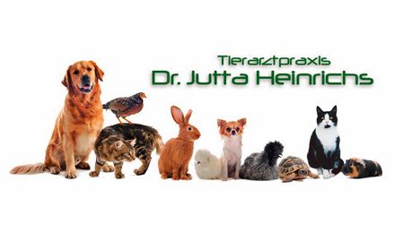 Kundenlogo von Tierarztpraxis Heinrichs Jutta Dr.