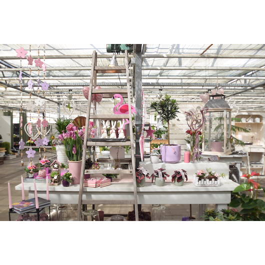 Kundenbild klein 4 Blumen de Kok Floristikfachgeschäft Meisterbetrieb