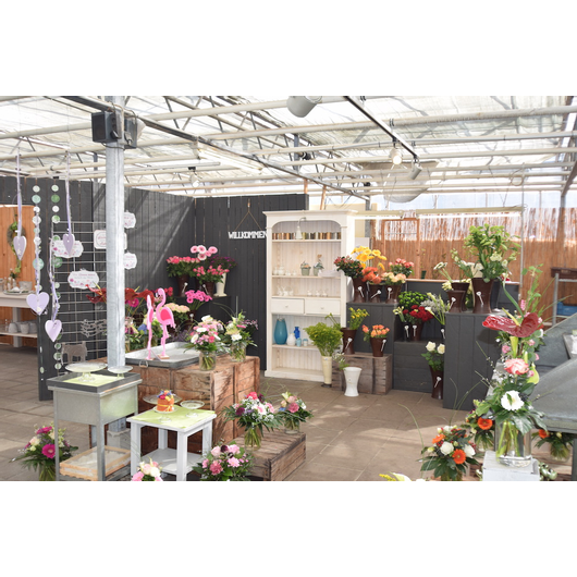 Kundenbild groß 7 Blumen de Kok Floristikfachgeschäft Meisterbetrieb