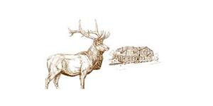 Kundenlogo von Familie Aue - Landgasthaus Zum braunen Hirsch