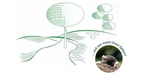 Kundenlogo von Dieter Schlegel Garten und Landschaftsbau GmbH