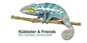 Kundenlogo von Kübbeler D. & Kollegen