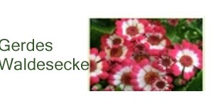 Kundenlogo von Gerdes "Waldecke" Blumen & Pflanzencenter