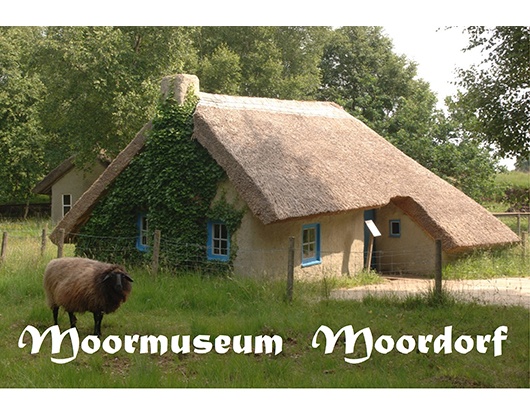 Kundenfoto 1 Moormuseum Moordorf e.V.