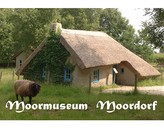 Kundenbild groß 1 Moormuseum Moordorf e.V.