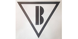 Kundenlogo von Heinrich Baasen Bauunternehmung GmbH & Co. KG